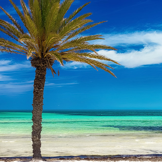 Tunisia-Beach-Mediterranean-Sea.jpg
